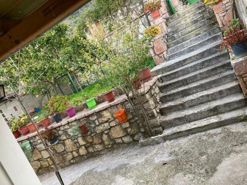 Apartamento Villa Dona