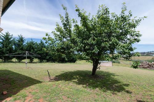 Canobolas Cottage, Amazing Farm Stay, 4 King Beds