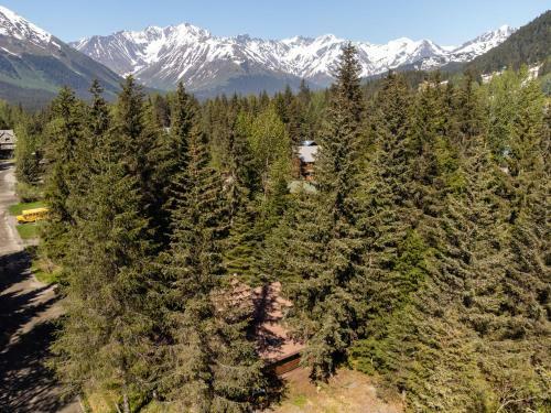 Alpine Meadows Log Cabin