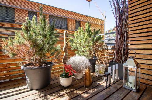 Apartamento Salis 01
