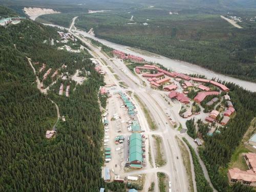 Denali Park Homestead