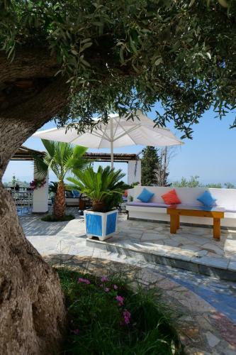 Bed & Breakfast Vila Panorama Piqeras