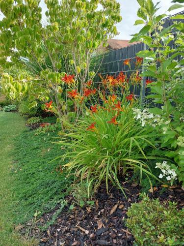 Apartamento Ferienwohnung Waldblick