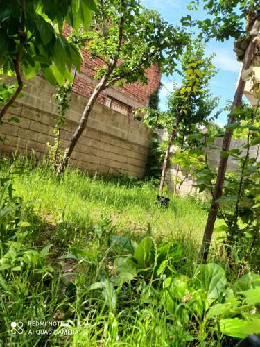 Guri Guest House