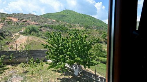 Bed & Breakfast Topalli Vila