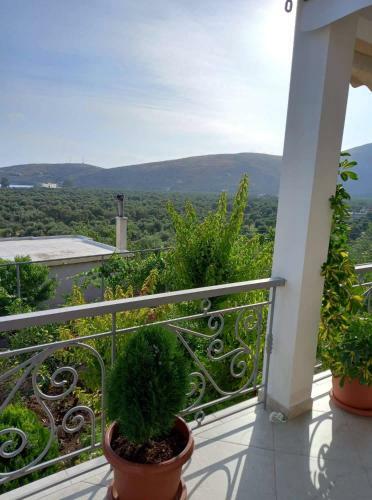 Villa On Rocks Qeparo