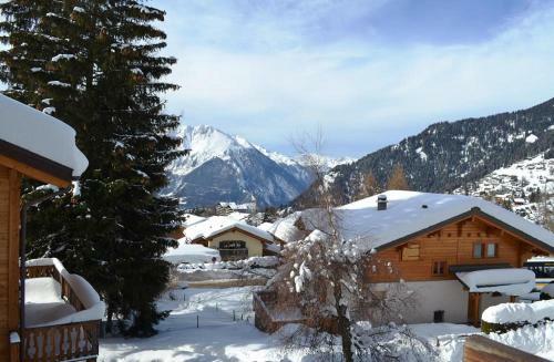 Apartment - Chalet Trojka