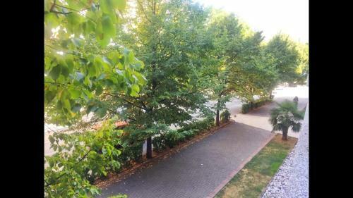Classic Apartman