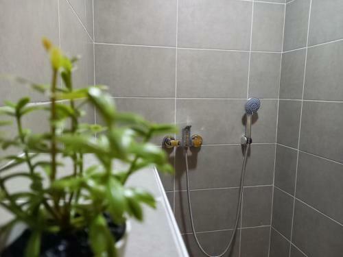 Apartamento Magic Garden
