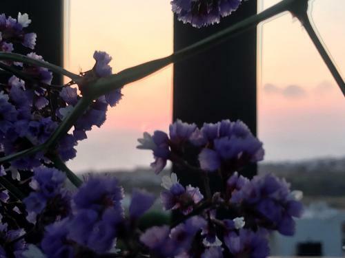 Apartamento Breath Taking View