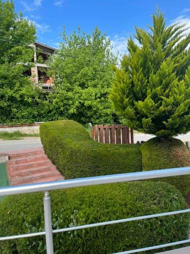 Apartamento Byala Dreams
