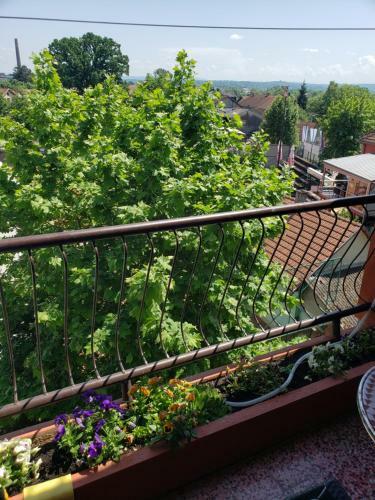 Apartamento Stan Na Dan 50 Bam Po No?enju