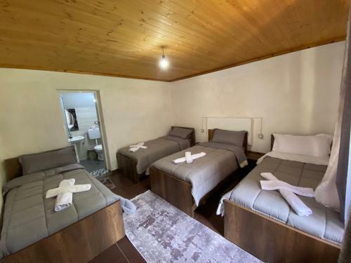 Bed & Breakfast Bujtina Pllumi Theth