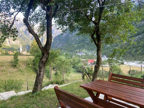 Bed & Breakfast Bujtina Pllumi Theth