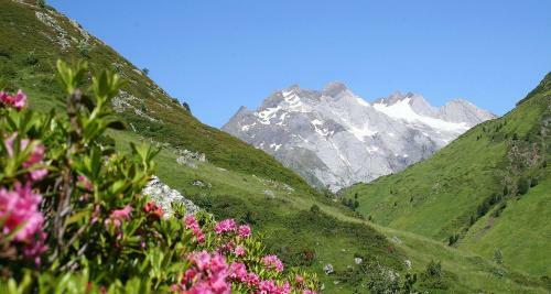 Hotel Logis La Grange Aux Marmottes - Les Campanules