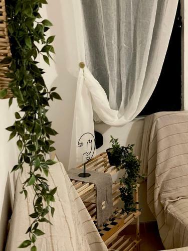 Apartamento Natural Home