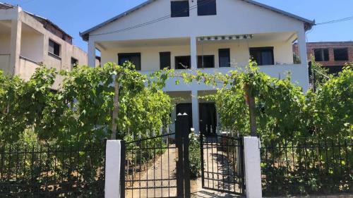 Hostal Vila Bisha