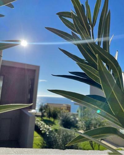 Even Residence @gc Palase