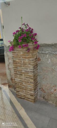 Apartamento M&j Home