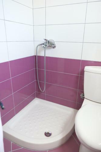 Hotel Vila Park Bujari