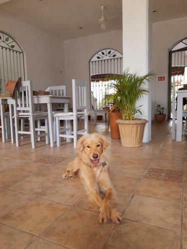 Hotel Distrito La 10