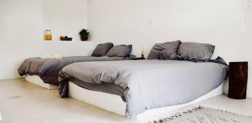 Hotel Distrito La 10