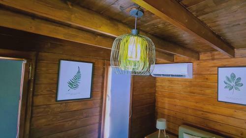 Stay Cozy Cabin