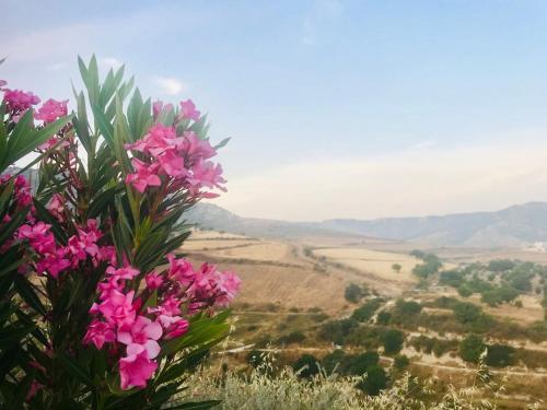 Apartamento Panoramic Holidays - Premium 8