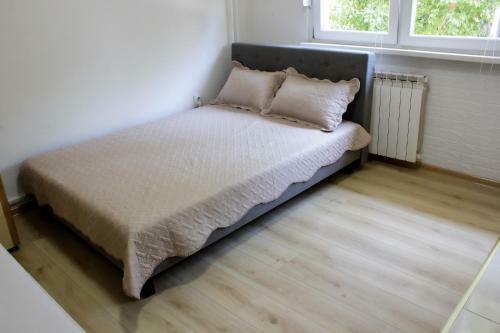 Comfy Apartment