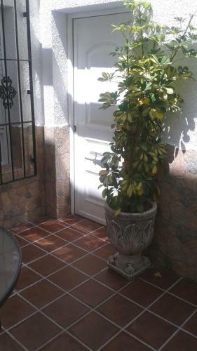 Apartamento Antonia 1