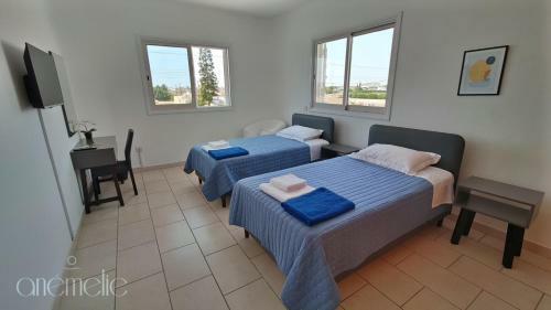 Villa Anemelie