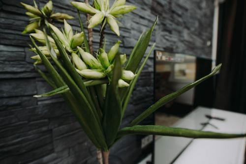 Apartamento Stan Na Dan Centar 53