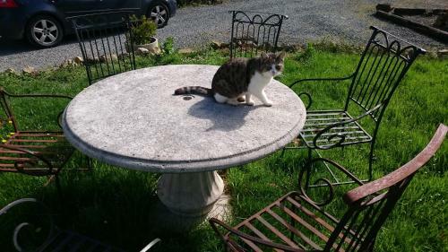 Bed & Breakfast La Mare Aux 3 Diables