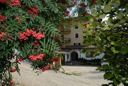 Hotel Albergo Aurora