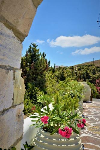 Hostal Moraitis Studios