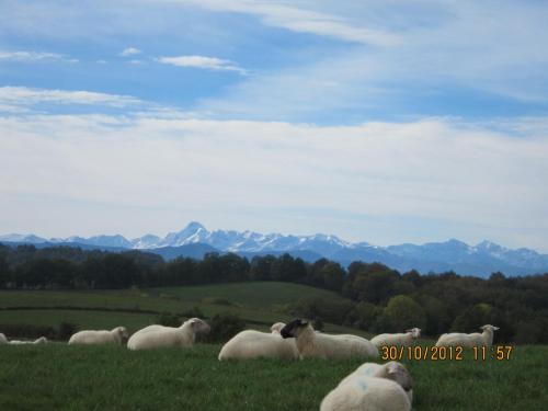 Bed & Breakfast La Ferme Du Bascou