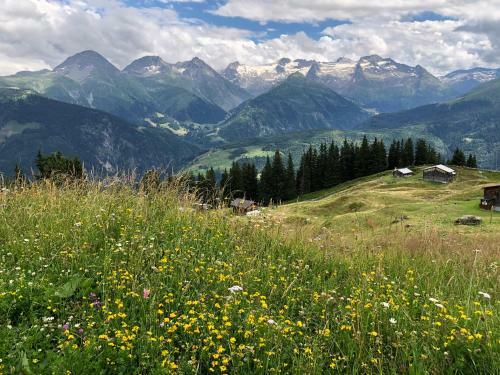 Apartamento Relaxt In Disentis