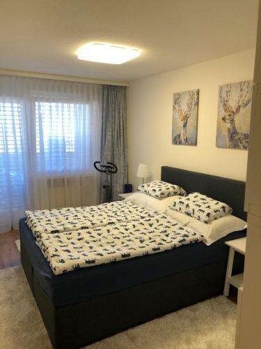 Apartamento Relaxt In Disentis