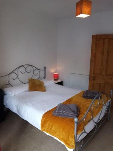 Bridge View Victorian Townhouse Central Aberystwyth Sleeps 6