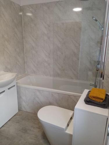 Bridge View Victorian Townhouse Central Aberystwyth Sleeps 6