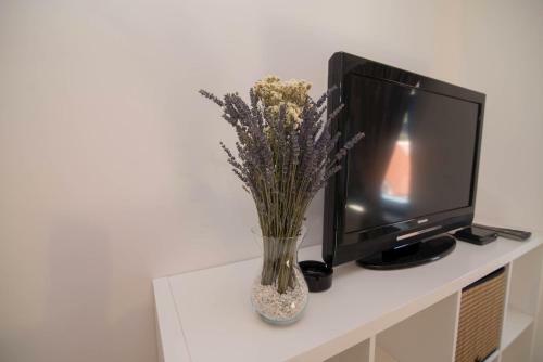 Apartamento Pinea