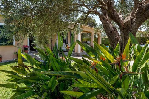 Villa Iris - Alc�dia