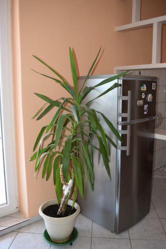 Apartment Milica