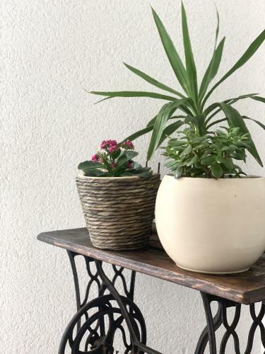 Apartmani Petra