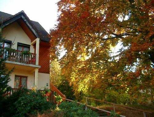 Hotel Le Chalet