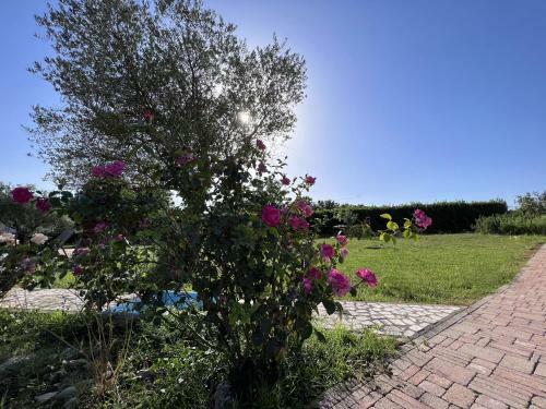 Hotel Tenuta Delle Acque