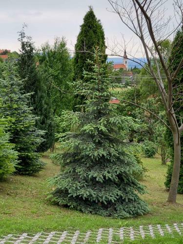 Holiday Home In Balatongy�r�k 42694