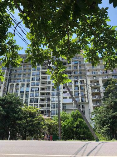 Apartment 605b