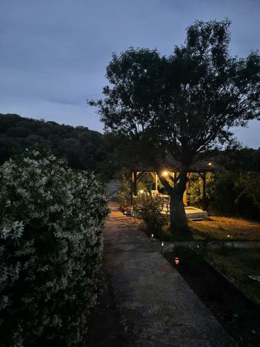 Villa Alexandros