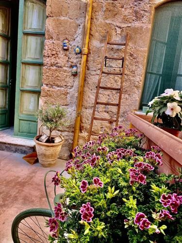 Apartamento Il Vecchio Cortile